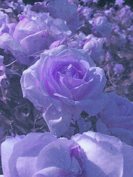 정반대인 우리 대표 이미지