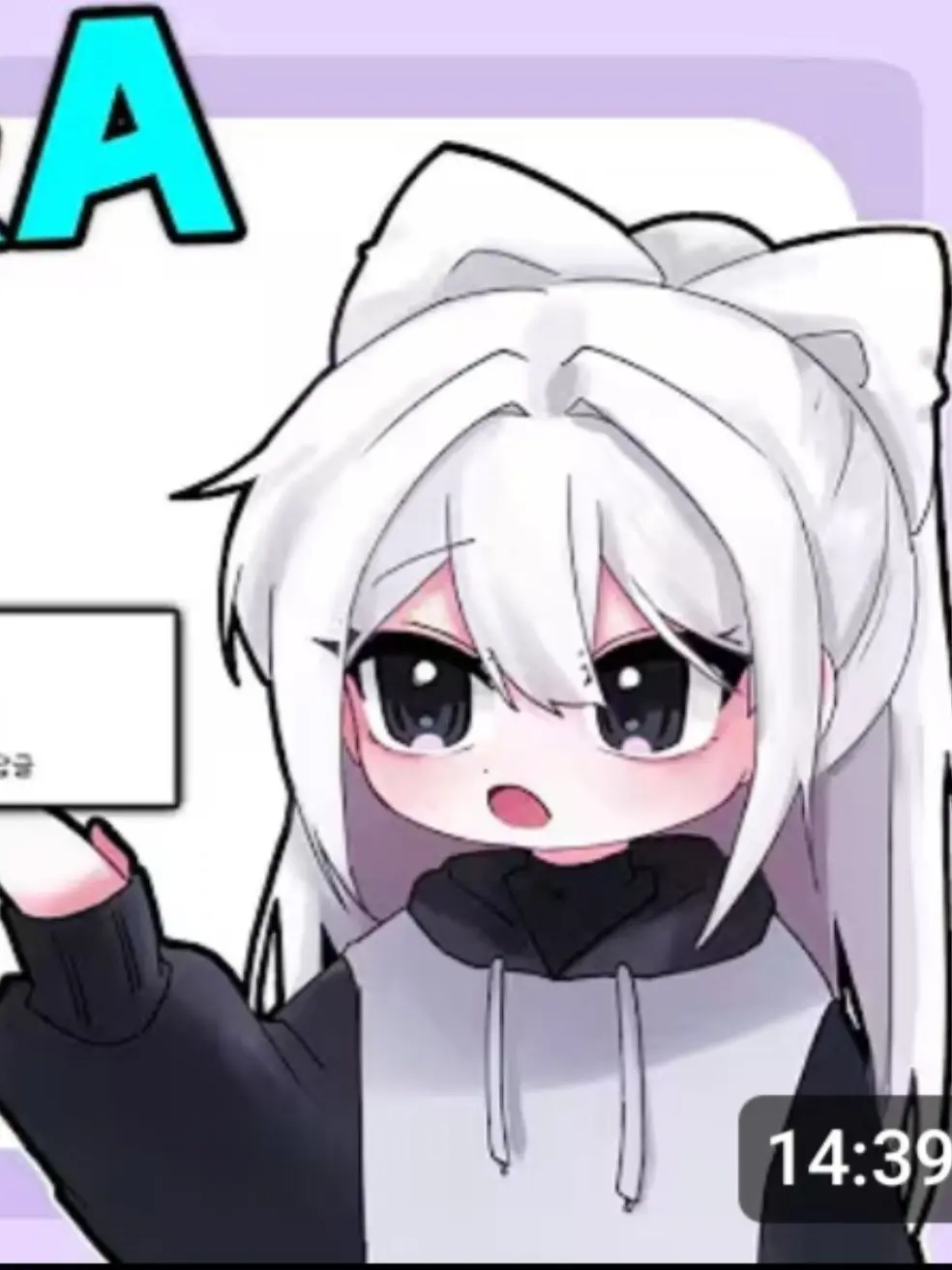 Flower_1122의 소멸의 20만 Q&A