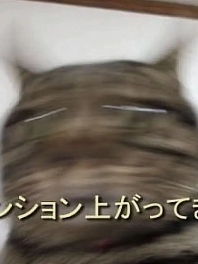ciaooooo의 あなたのことだーいすきなくらさま。