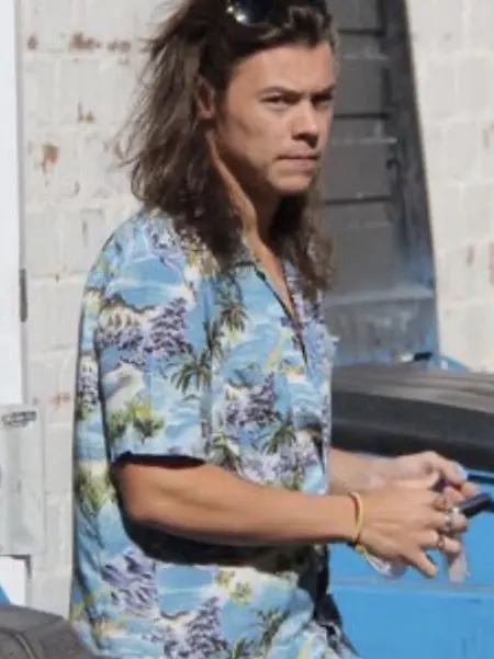 Tpwkmultifandom의 Harry Styles