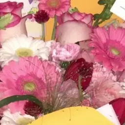 BouncySofa8097의 벽에 끼인유저(오비스트들 지나가는중)