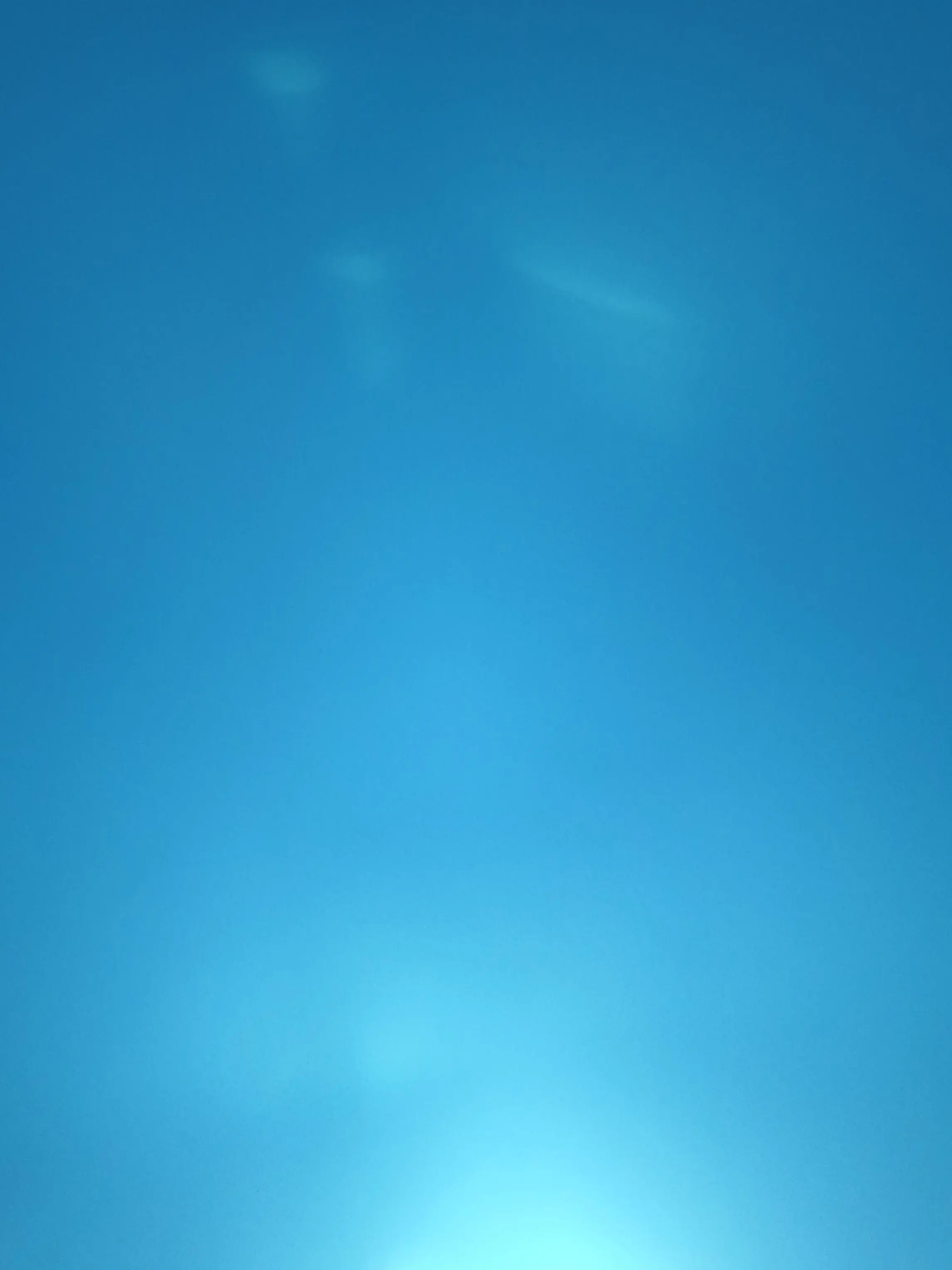 GreedyFrond2742의 당신은 나른한패밀리의 새맴버입니다!