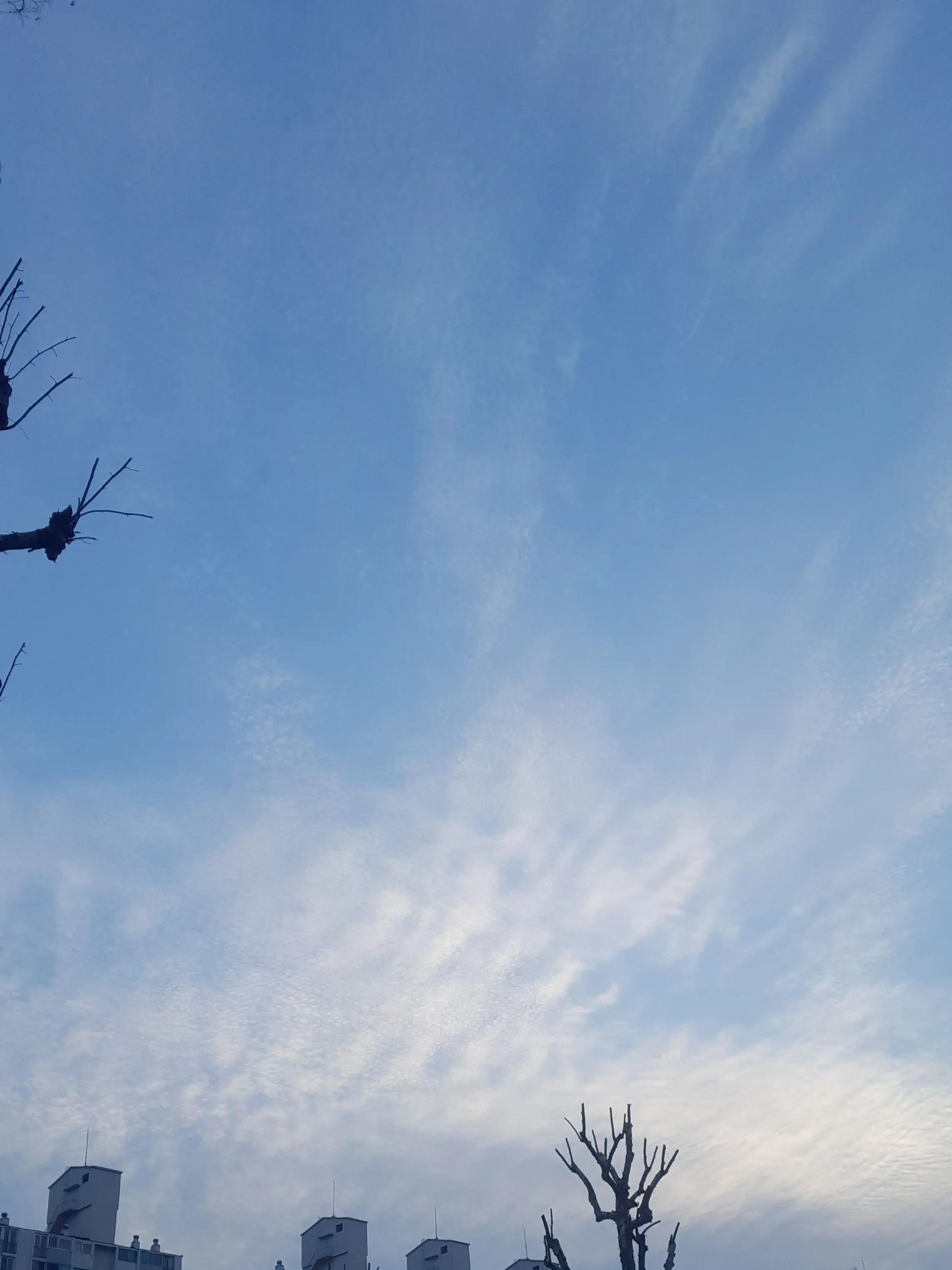 9210의 일진 뜰팁(여우)