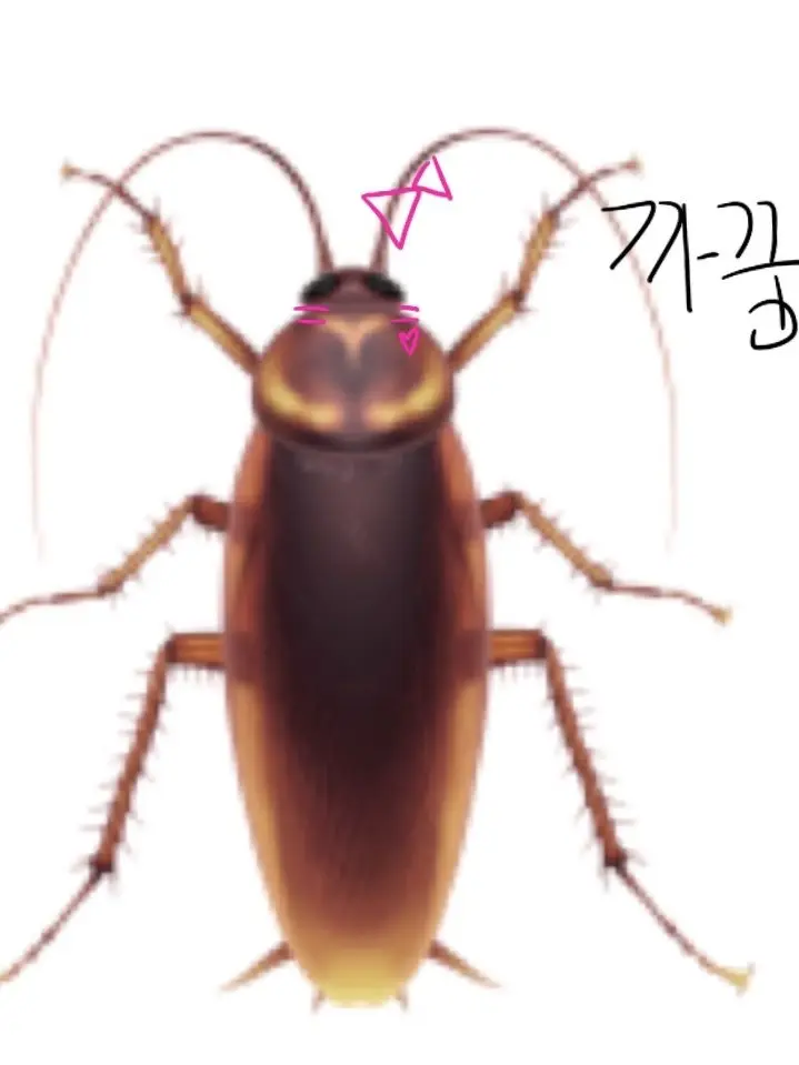 DensePixel4609의 집에서 바퀴벌레 나온.. (포세이큰)