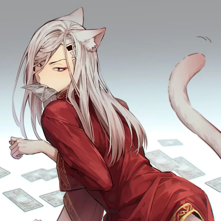 애옹이 납치