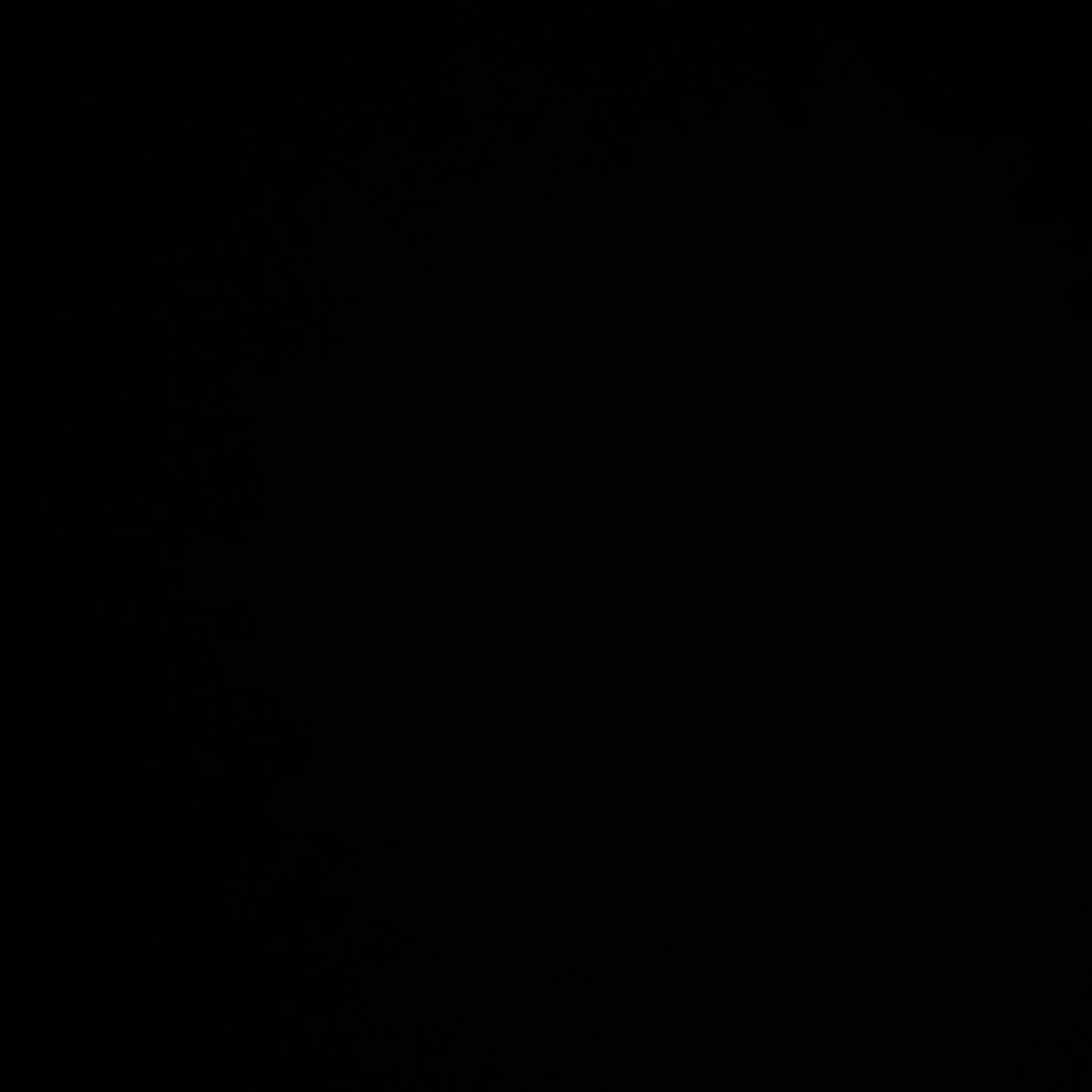 ALri1의 夜狼