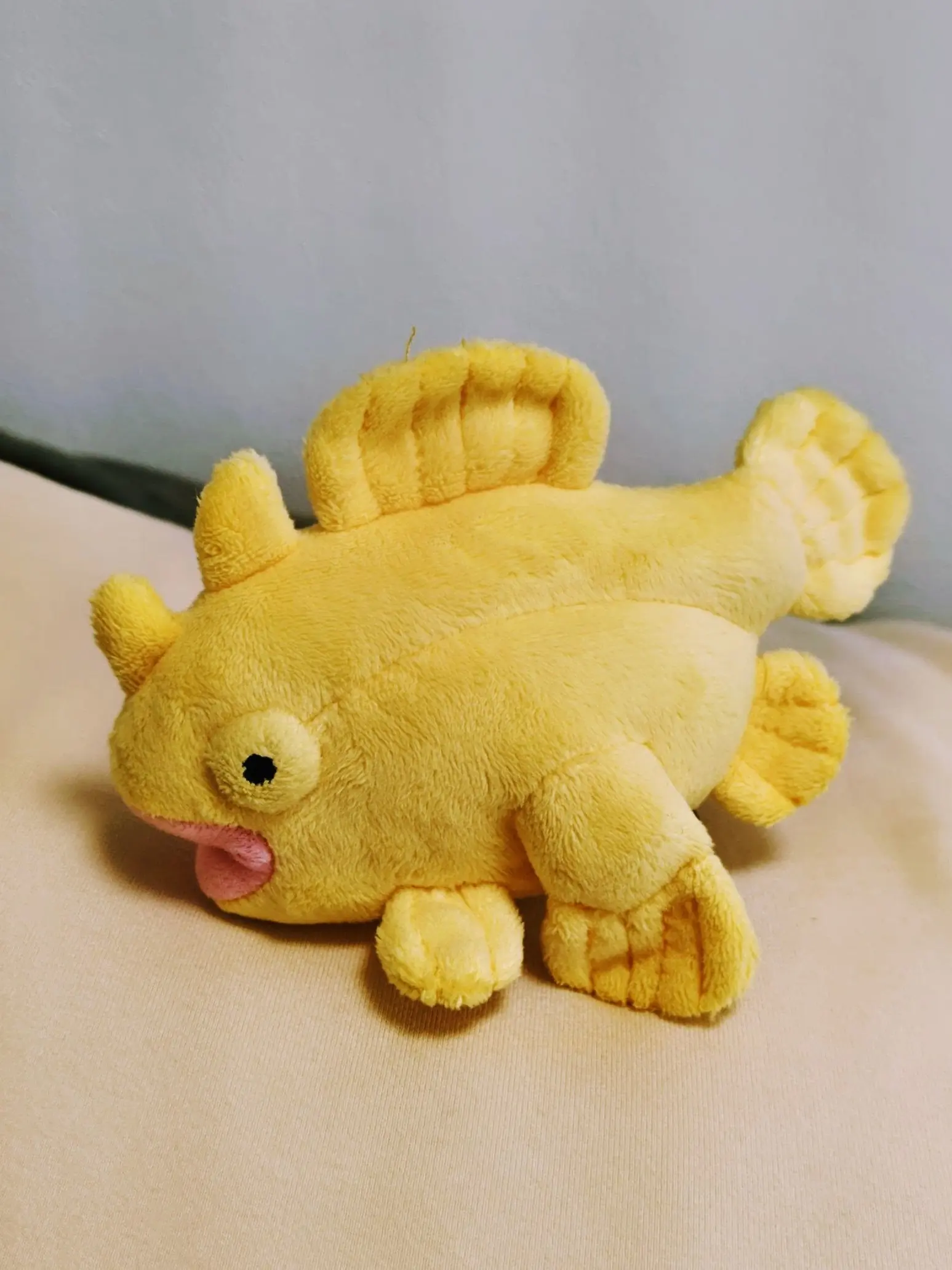 StupidFund0974의 マヌケな顔のカエルアンコウ