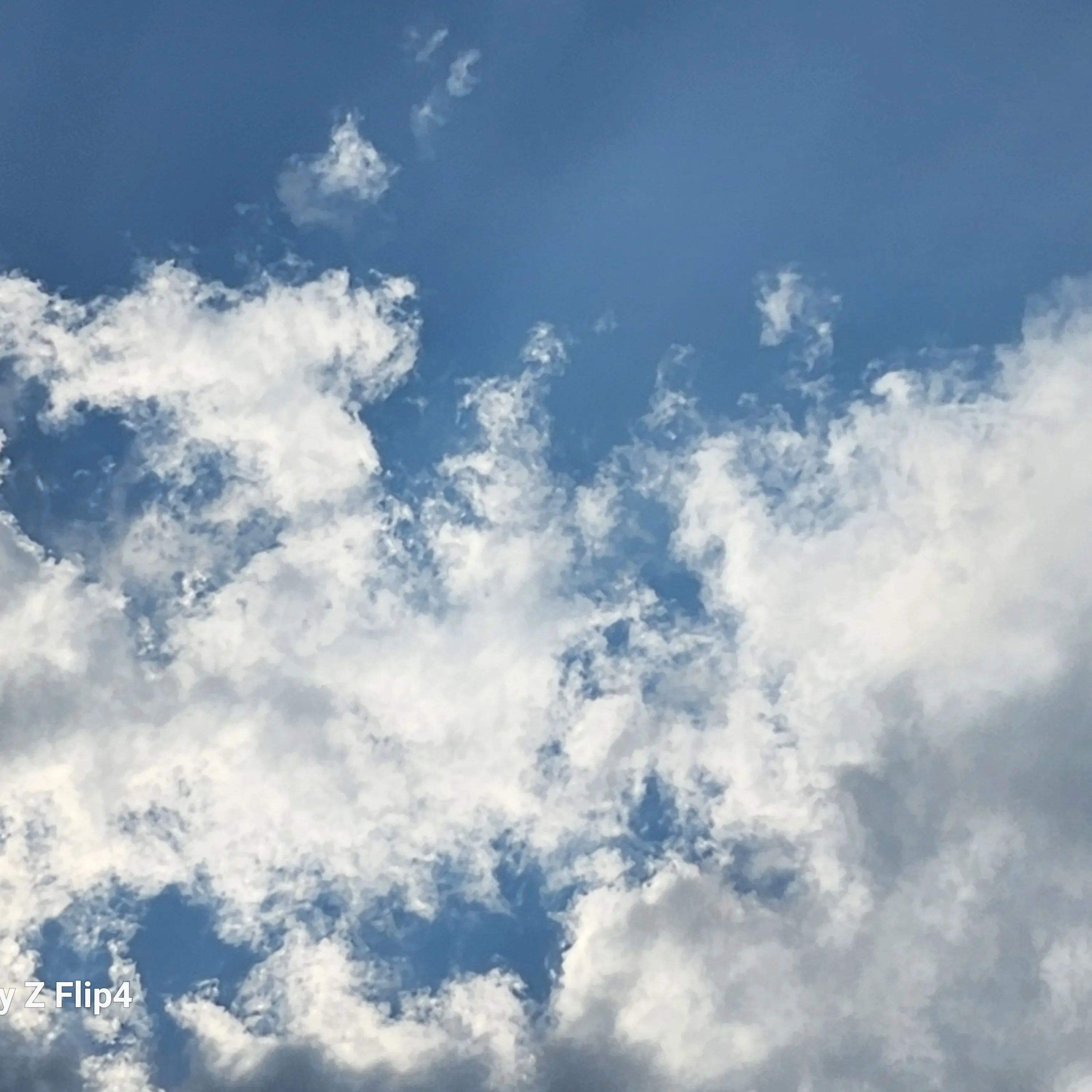 hitvvvv의 비스트, 에이션트 동거 일상!