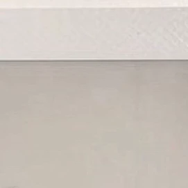 엑소(exo)