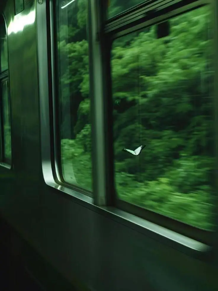 MeekRake3235의 ...당신의 열차는 어디로 갑니까?