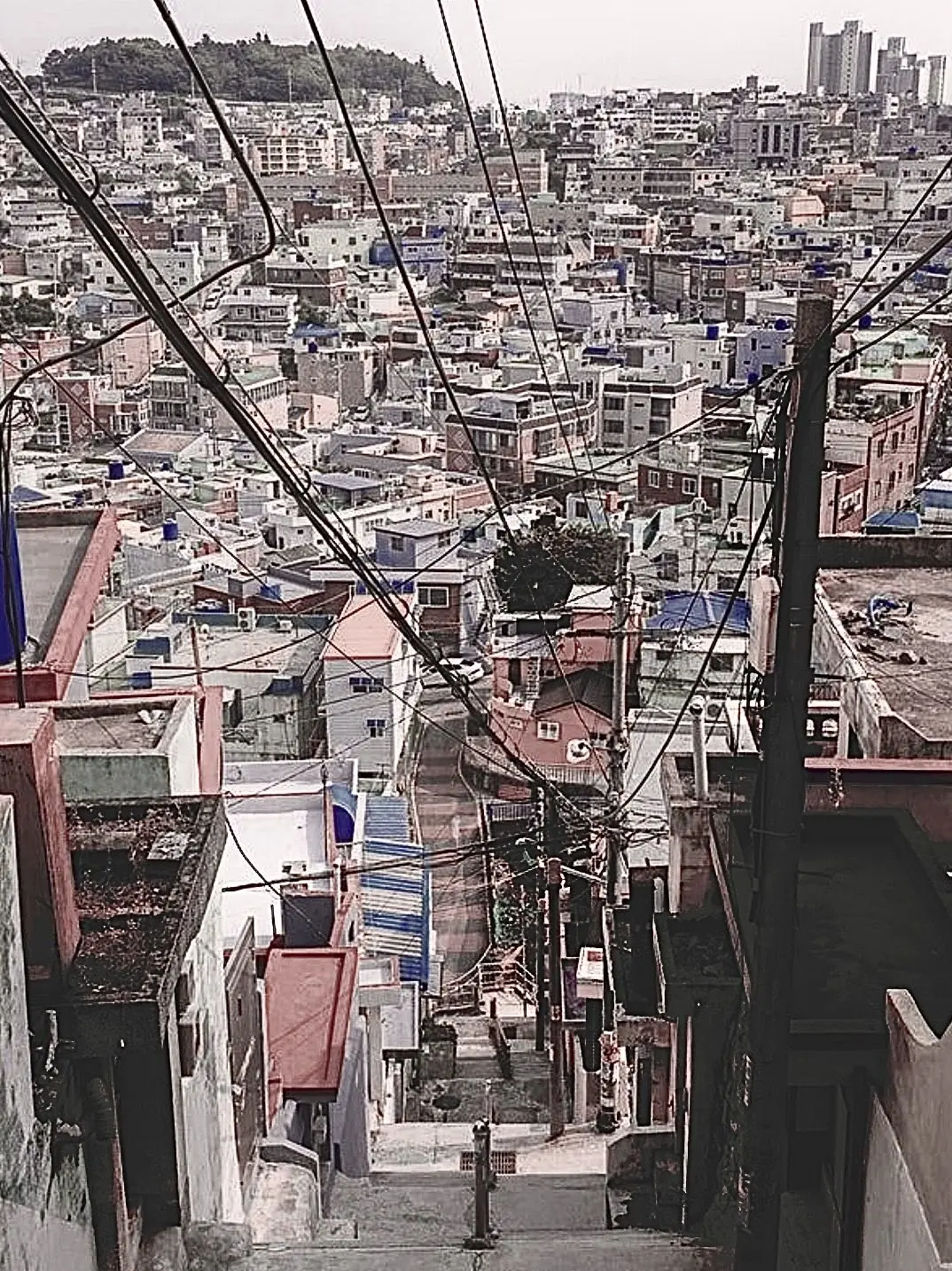 Korrrrrrrrrrrck의 바지락수제비 한 그릇