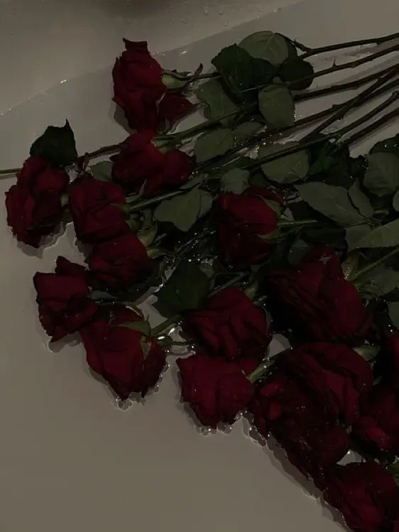 mnijungkook.s_pancreas의 Jk