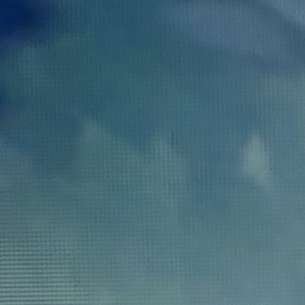 김진아 치어리더 대표 이미지
