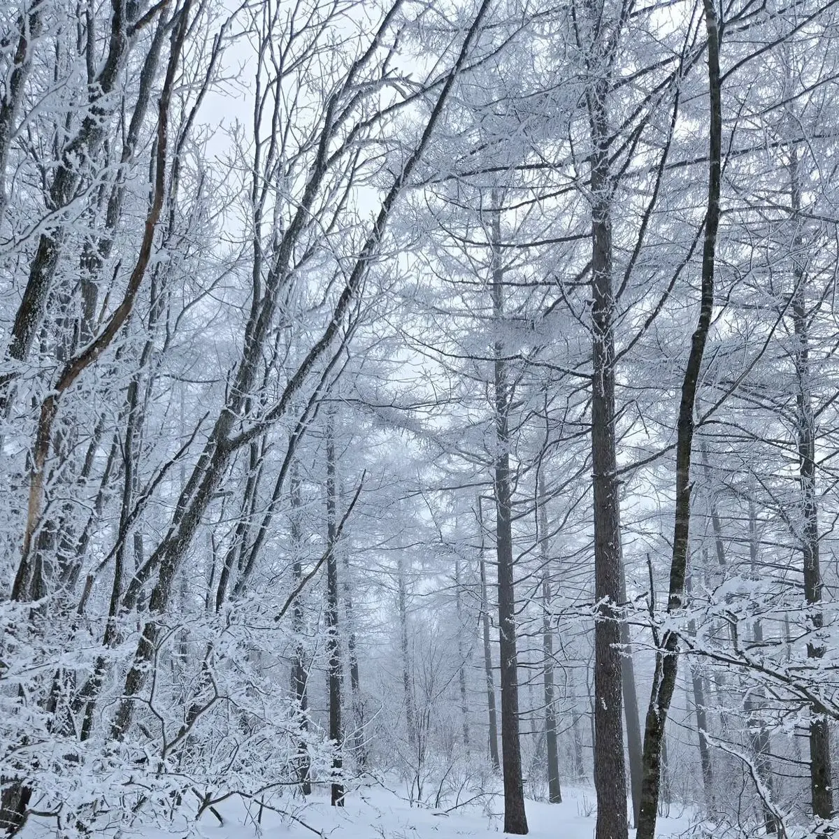 yenling_1230의 outdated