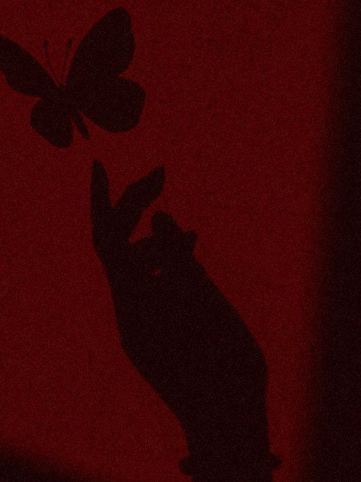 0215 대표 이미지
