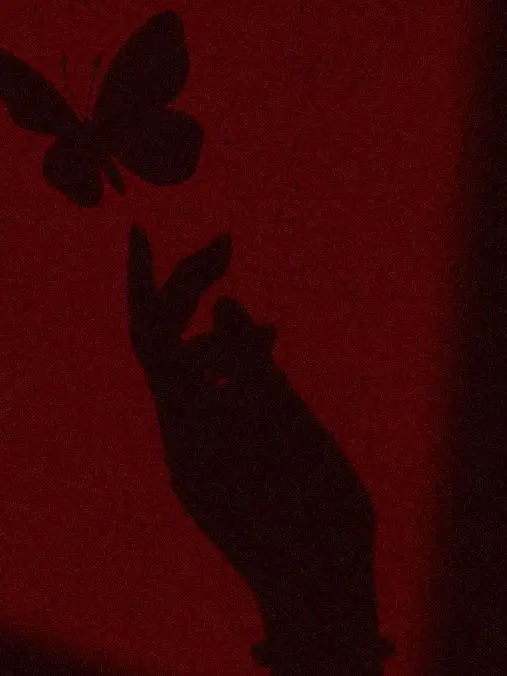 SadDrum6458의 미수반2 - 희귀 혈액형 납치살인사건