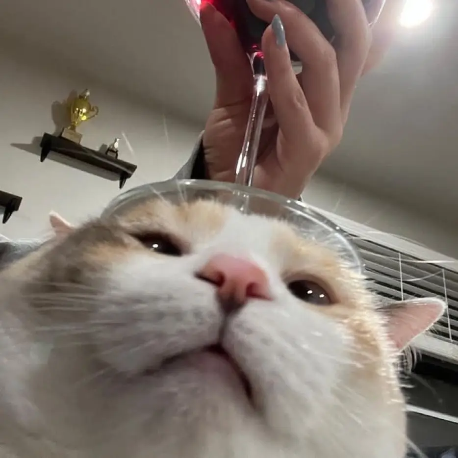 was-youth의 나랑 만나면 안되냐구ㅋㅋ