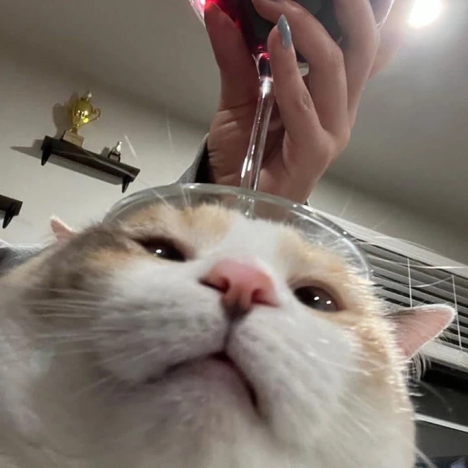 나랑 만나면 안되냐구ㅋㅋ