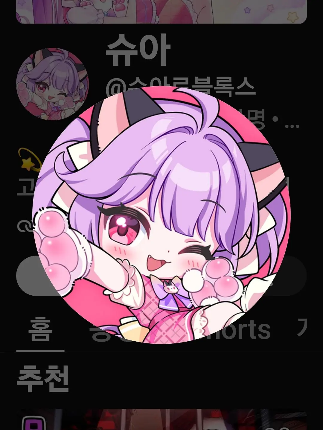 RiskySwipe0946의 버려진 길고양이!<홍챠>