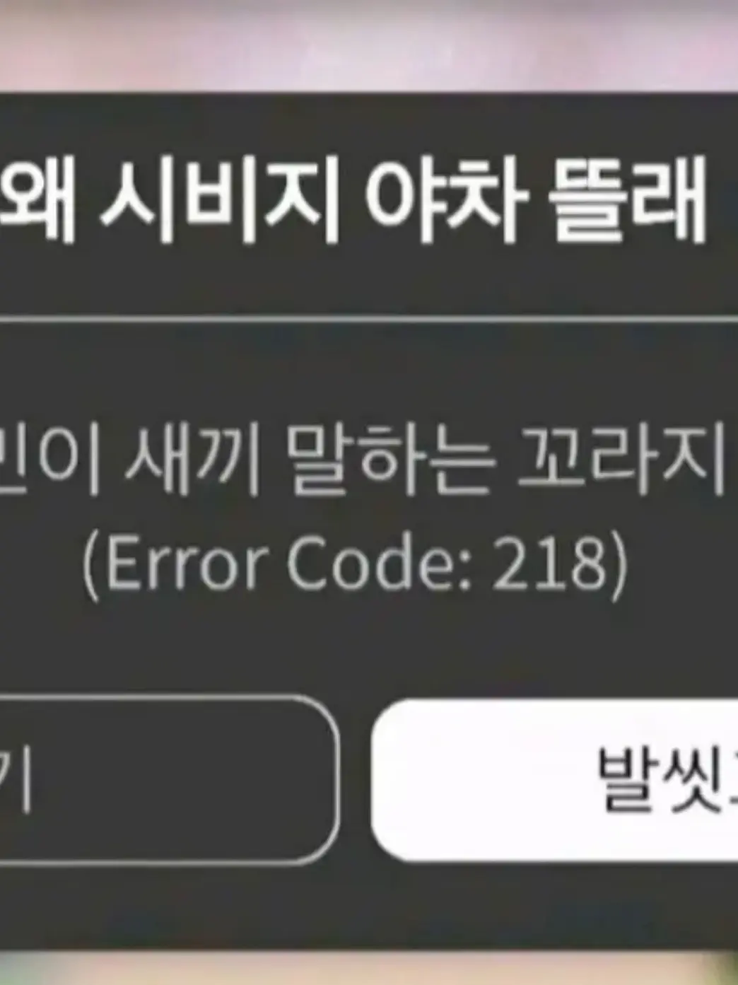 wwwnight13의 얘네들이랑 바다 놀러가기