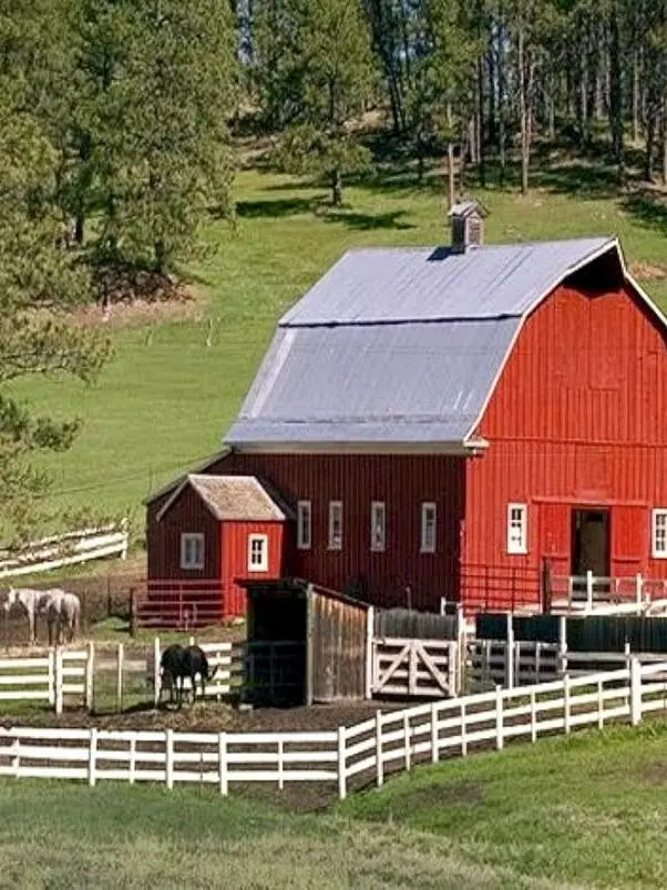 Ink-D-Red의 Mr. A's farm