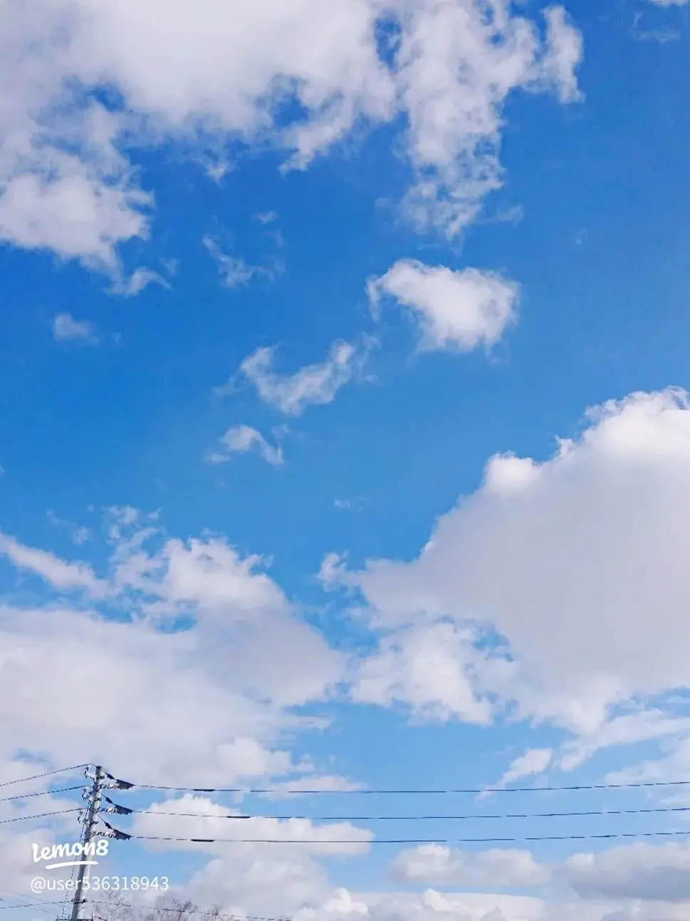 ThickTower0965의 やんちゃ彼氏