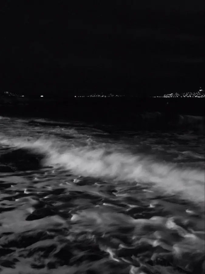 kaiserrrr의 파도는 말하지 않는다.