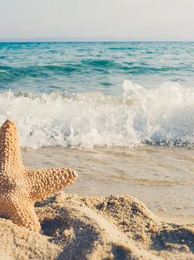 Terrariafan320의 Beach time adventure