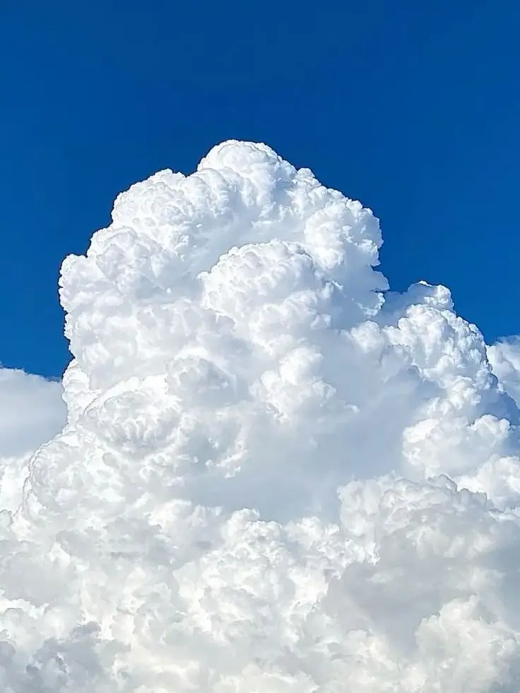 PIXELYISMYWORLD의 초세여