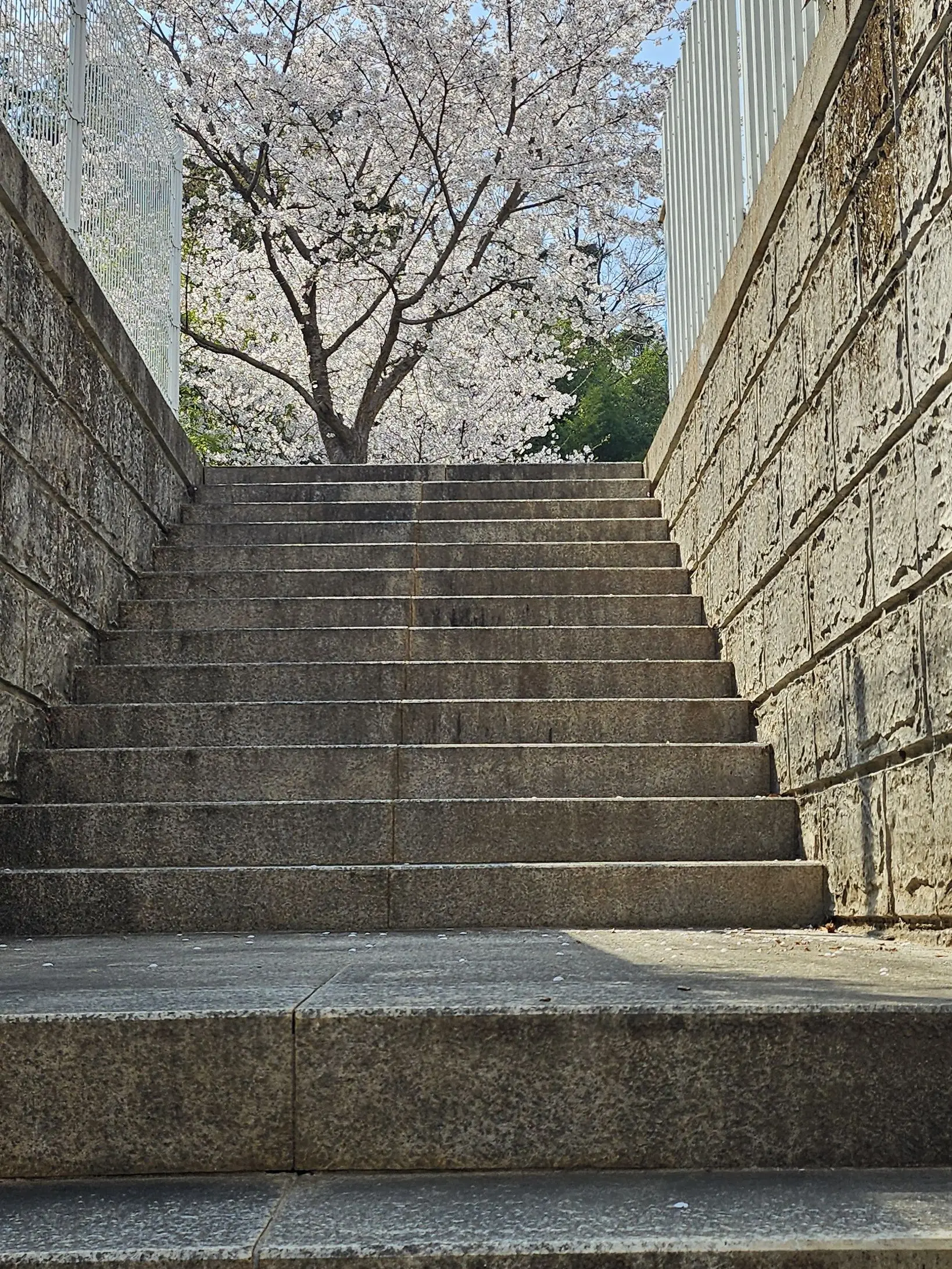 happy_welcome의 카나에를 울려보자!