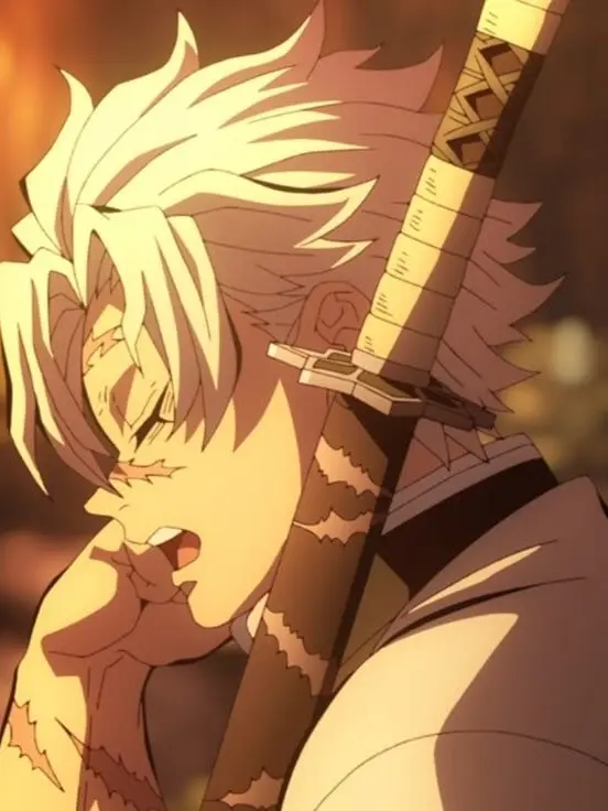 SturdyCode4327의 不死川実弥