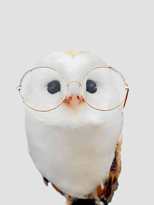 Japdeok_0722의 아카아시 케이지
