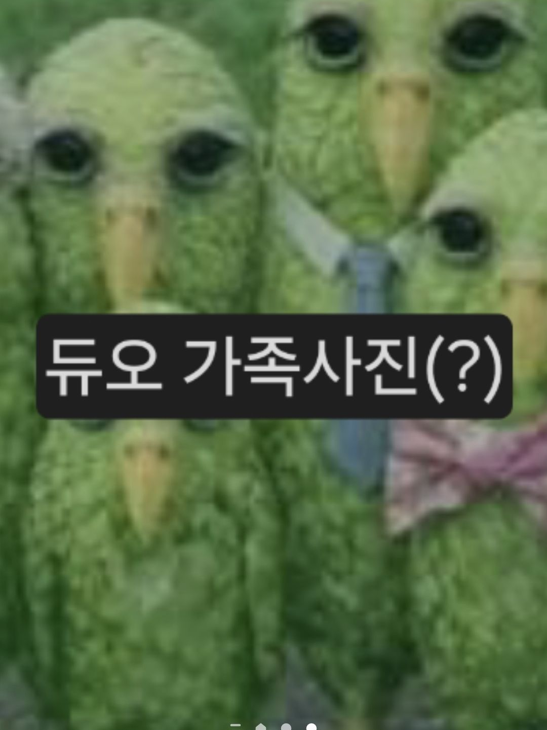 5-1 대표 이미지