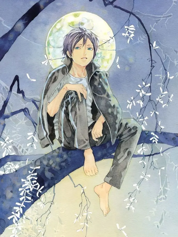 PrimSugar2574의 ノラガミ