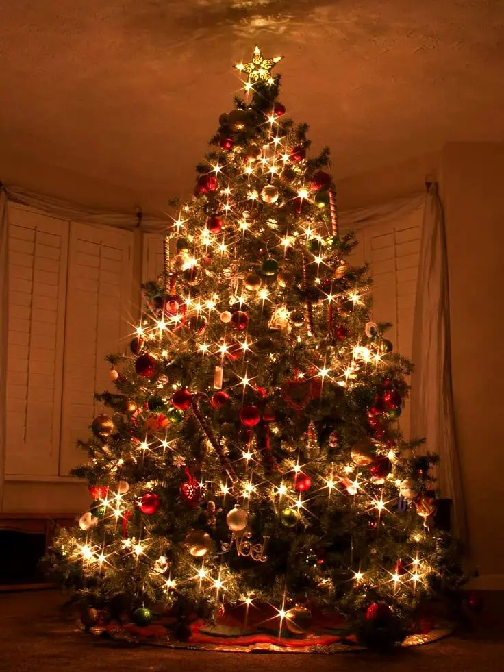 1_00의 현실과 판타지가 만나면 생기는 일