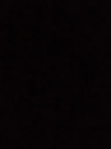 onii.nc의 이동현