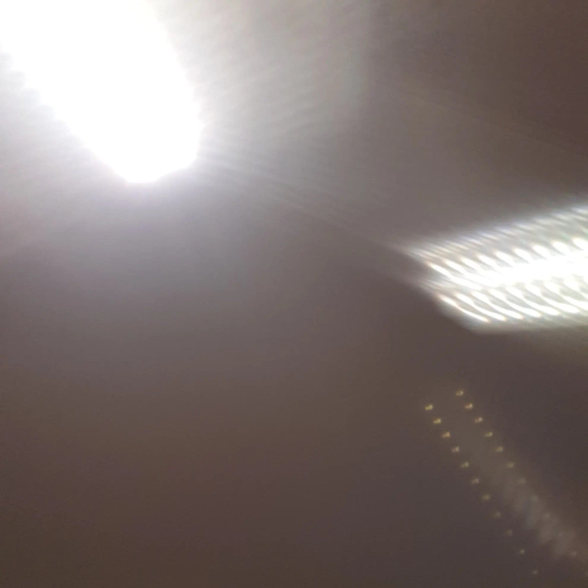 RoomyPlume1904의 팀나빠가 여자들이 얀데레????