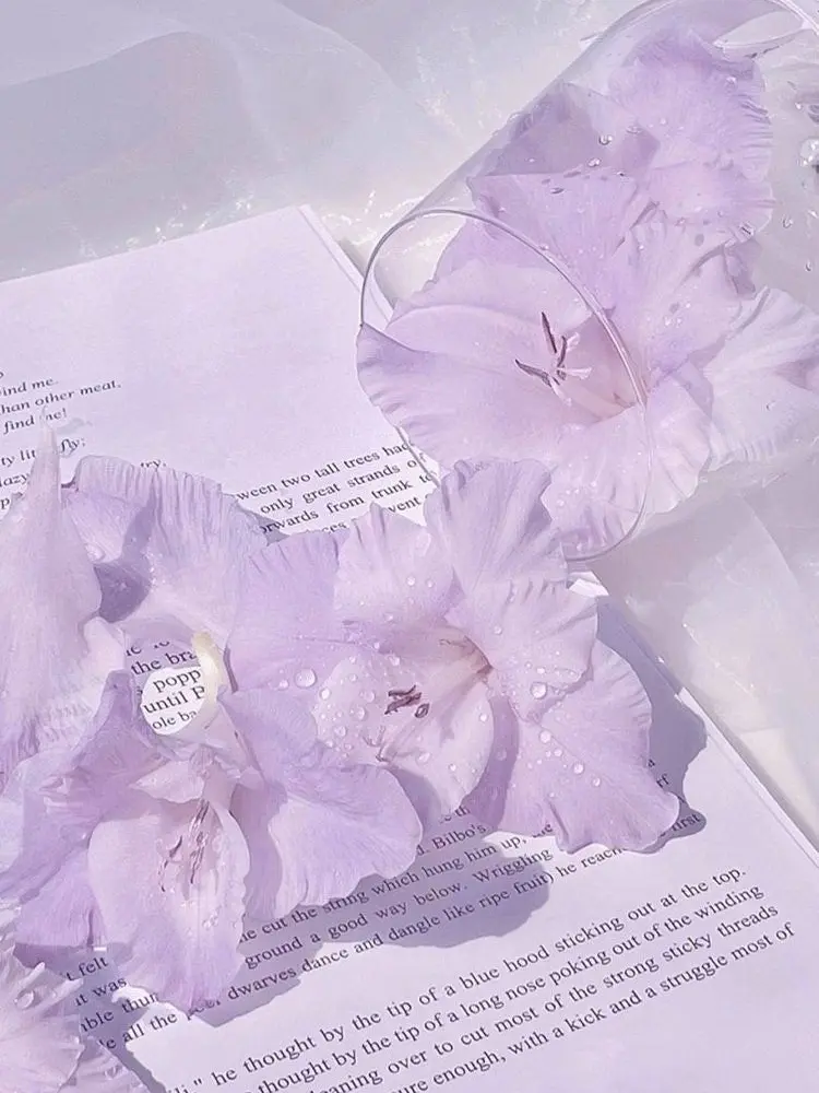 thewayout의 이무진