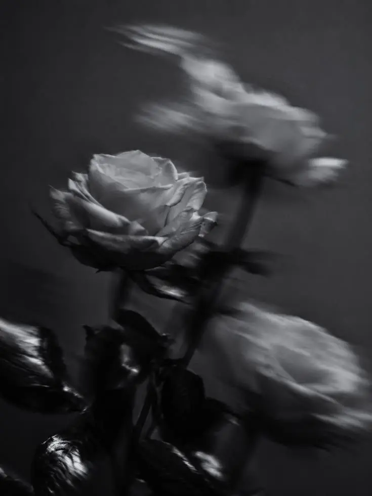 Lia_wolf12의 Daddy