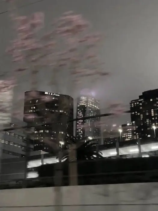 EarlyPiu2148의 에스파