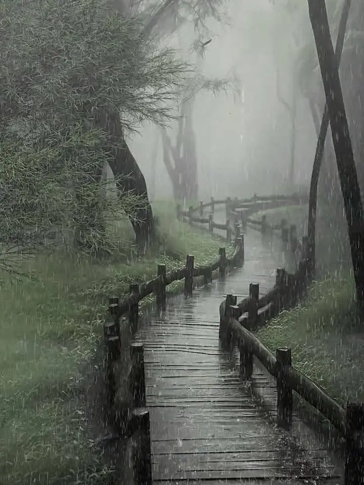 cheese_402i의 여우 비.