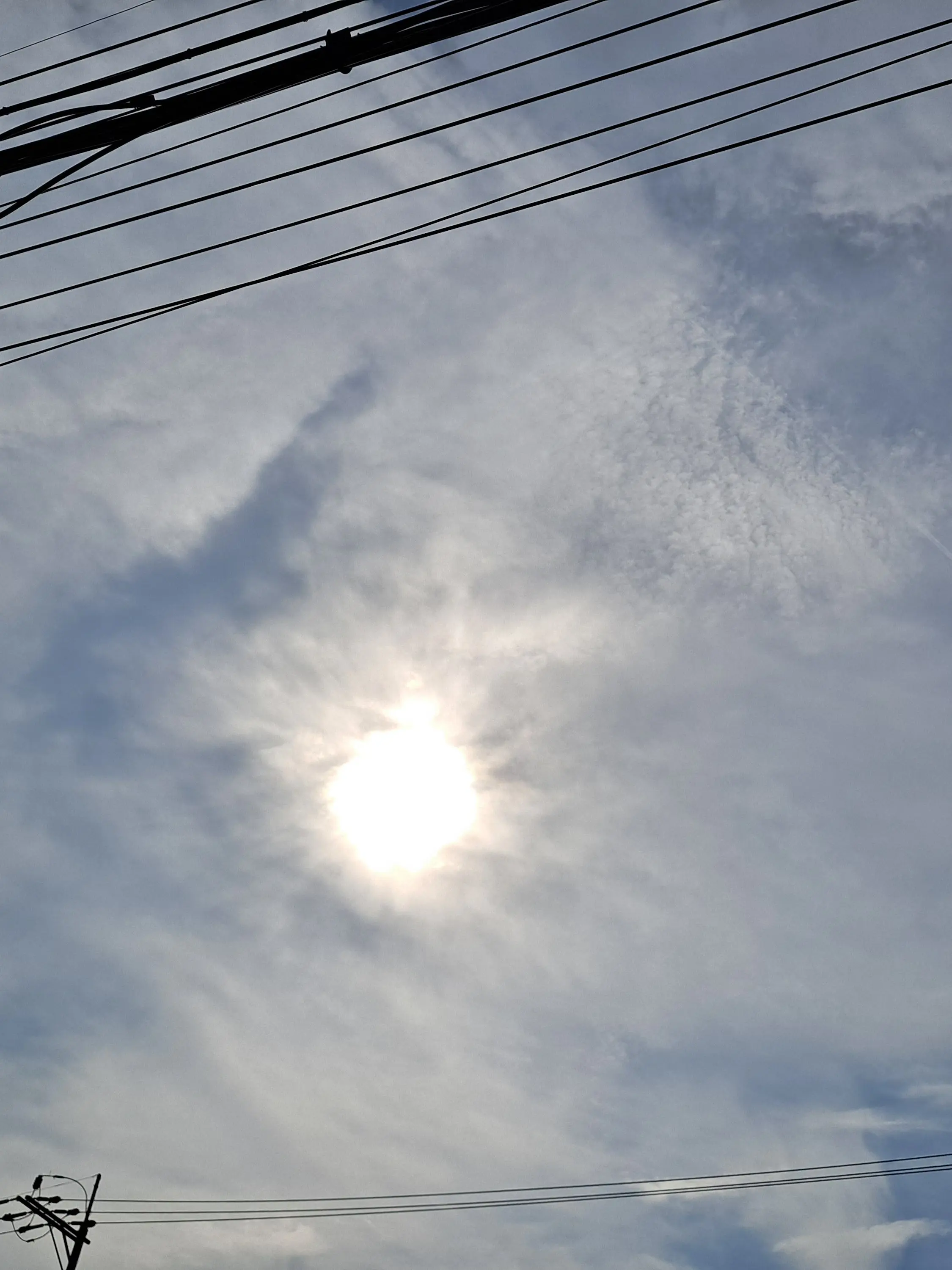 052001062440559의 나른한패밀리+여우