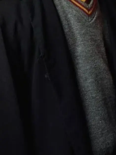 ActiveEra2063의 해리 포터의 여동생