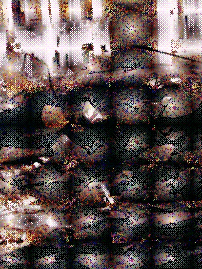 eatyou의 가이드버스는어때?