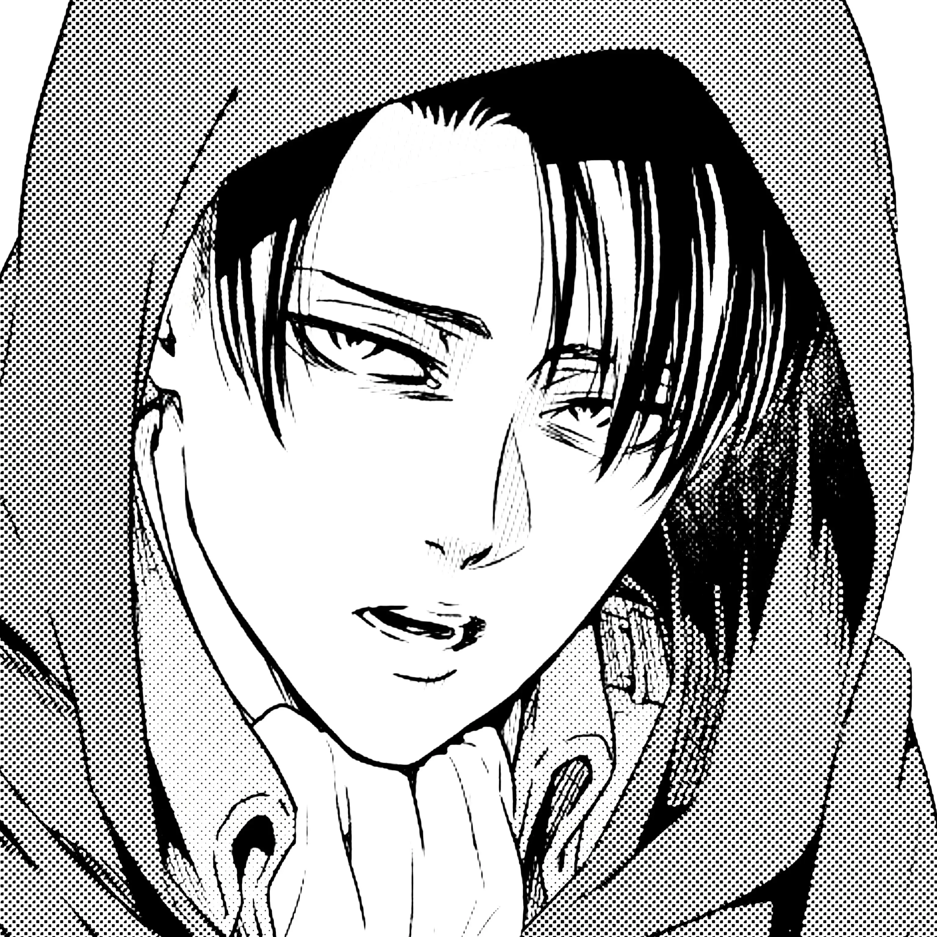 _violet의 리바이 아커만.