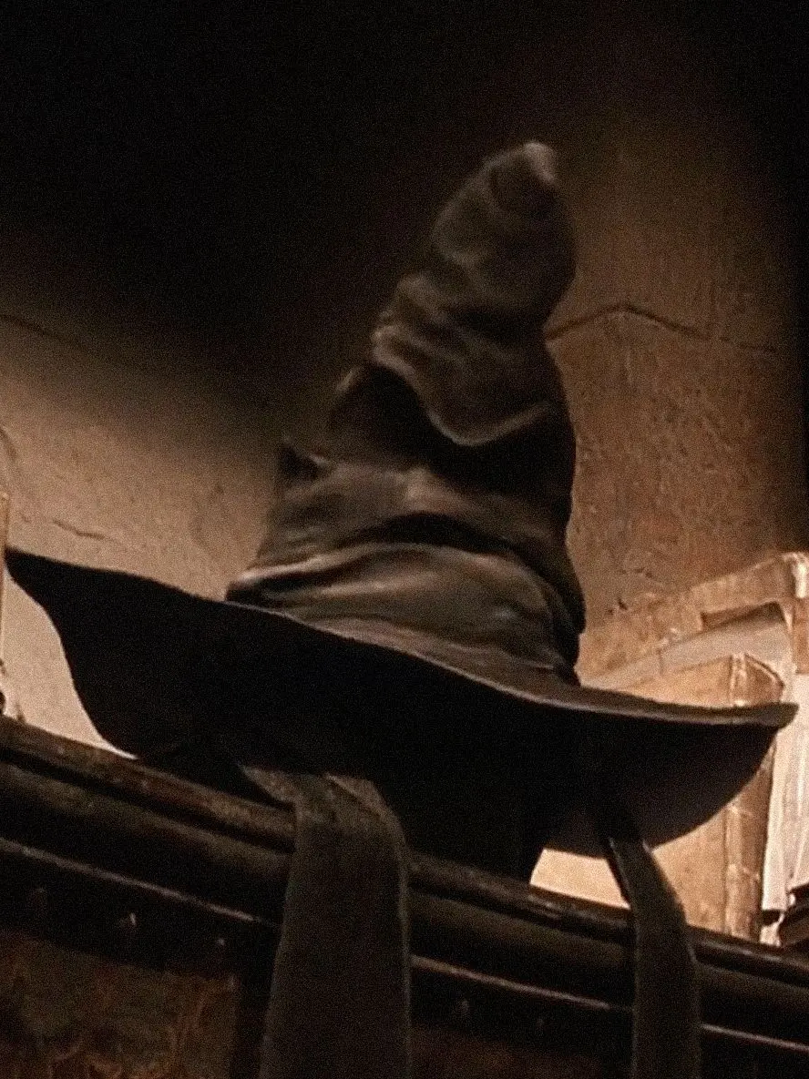 TestyWok7184의 Chosen for Hogwarts