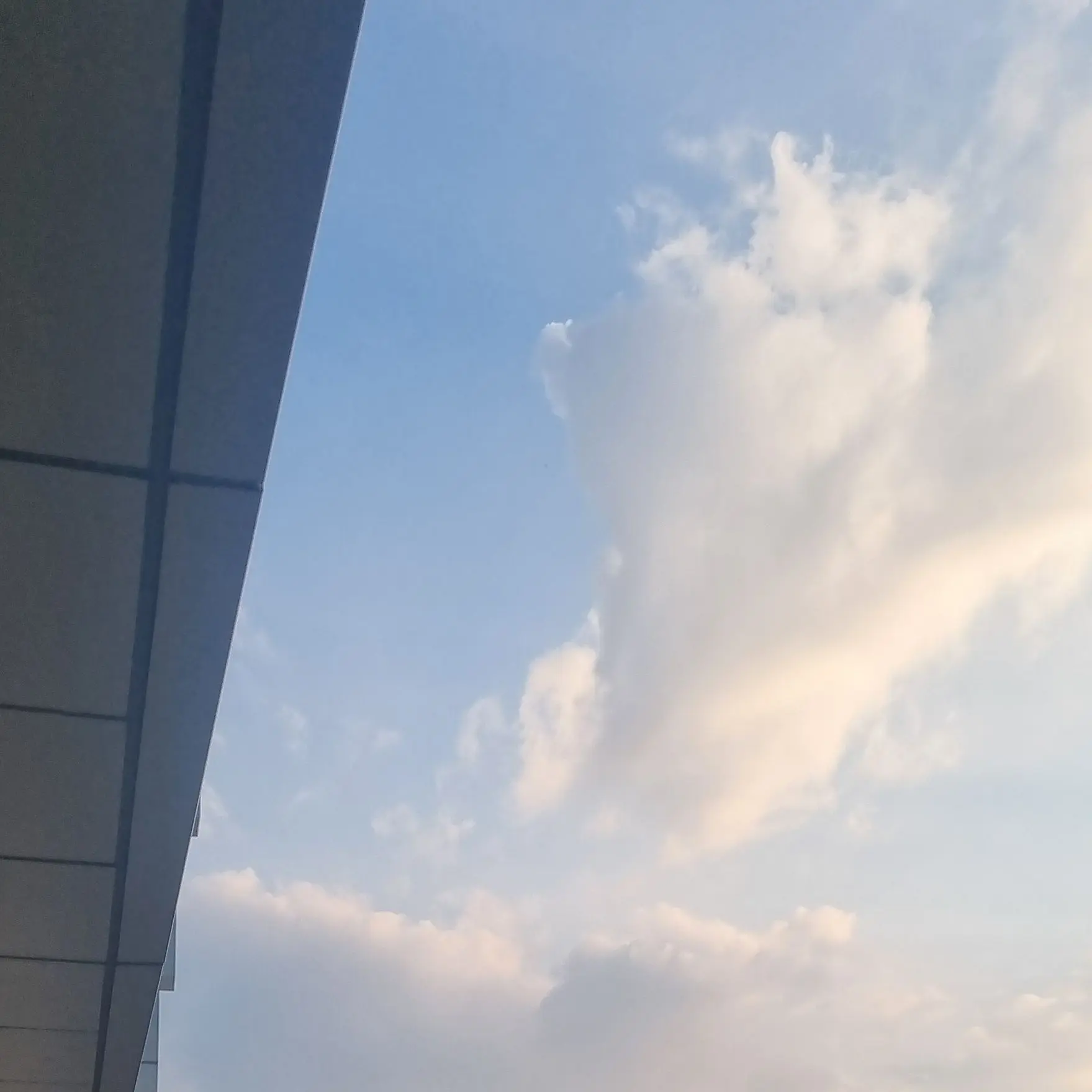 blue_sun_white_moon의 팀샐러드 수사반