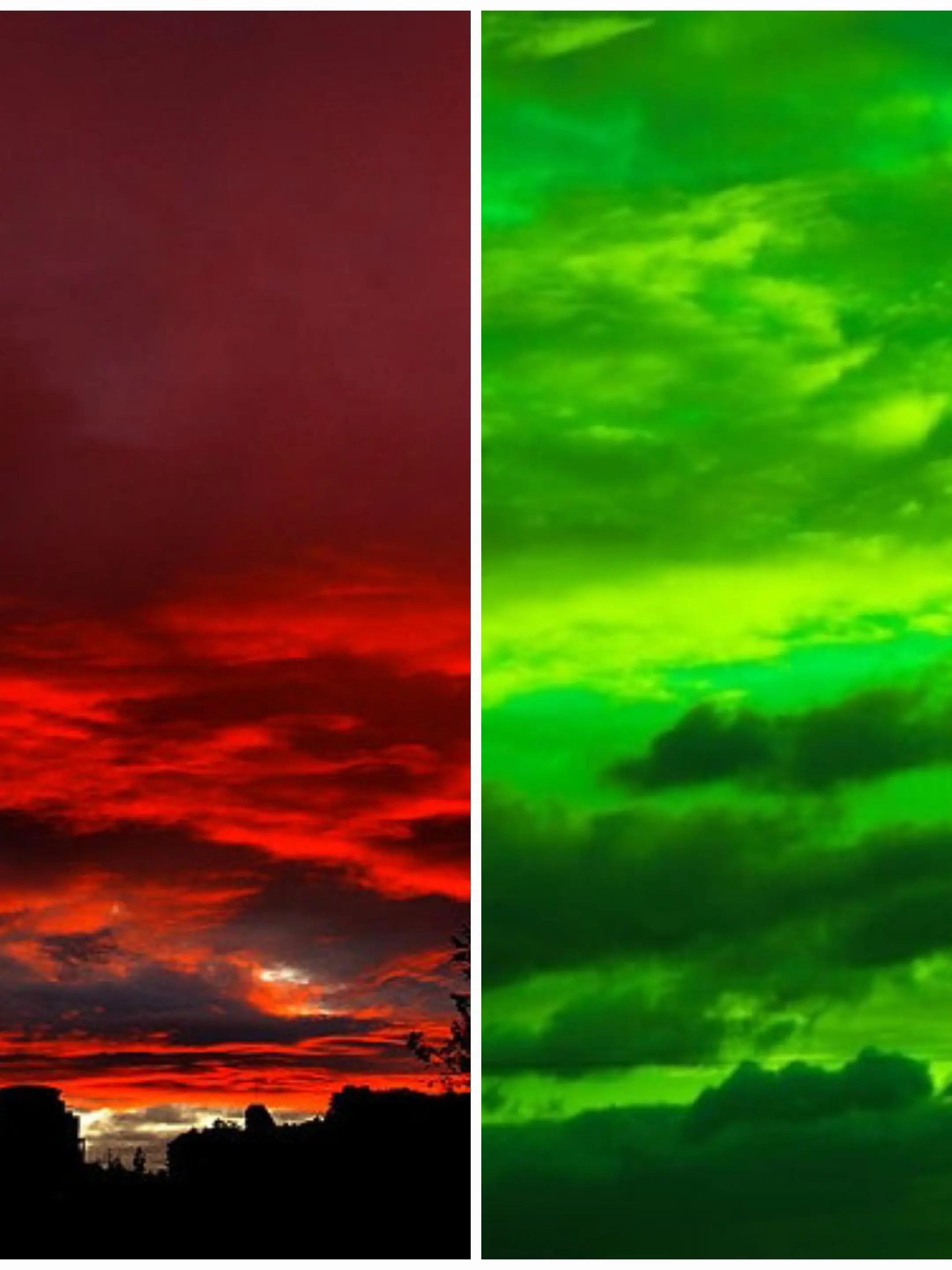 enikyu_1778의 이빨조 《환자 au》