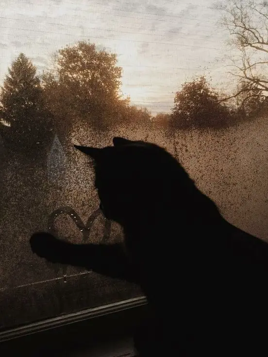 meu_o0의 コーヒー飲めない身体になりました