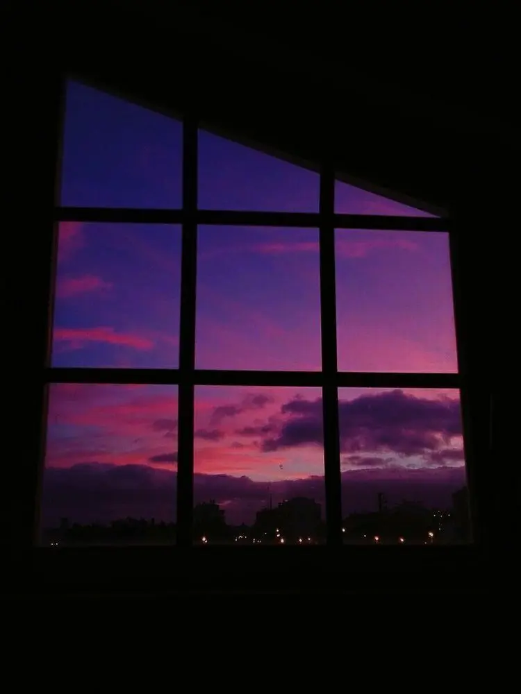 LoyalPlush5129의 괴롭히고 싶은 수인